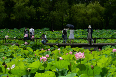 210717万博公園19