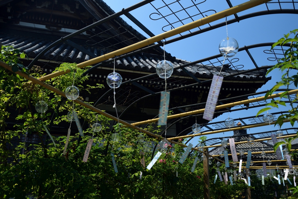 180715bおふさ観音08+