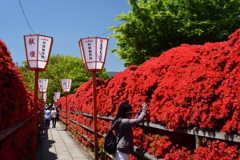 180419b長岡天満宮09+