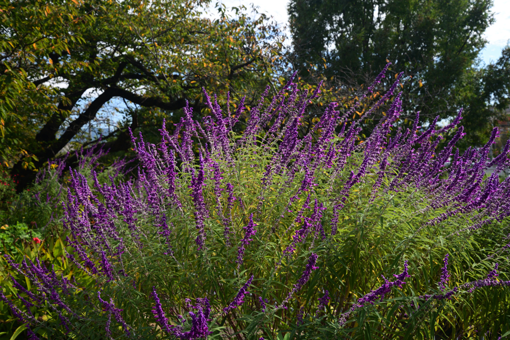 221021bおふさ観音25