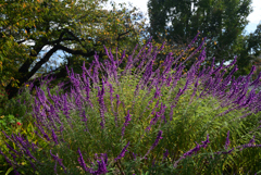 221021bおふさ観音25