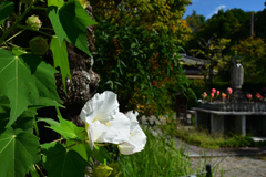 2501010c恵心院15
