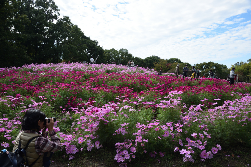 201018馬見丘陵公園50