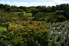 181008梅小路公園09