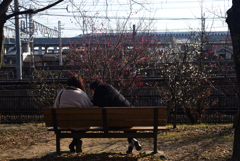 230209c梅小路公園26