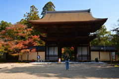 231102b神護寺65