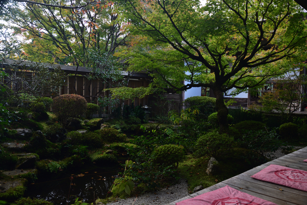 221104d宝泉院23