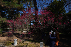 210224b京都御苑15