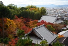 181124b圓光寺32