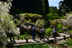 230423c萬葉植物園54