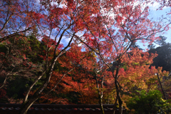 241129c佛通寺06