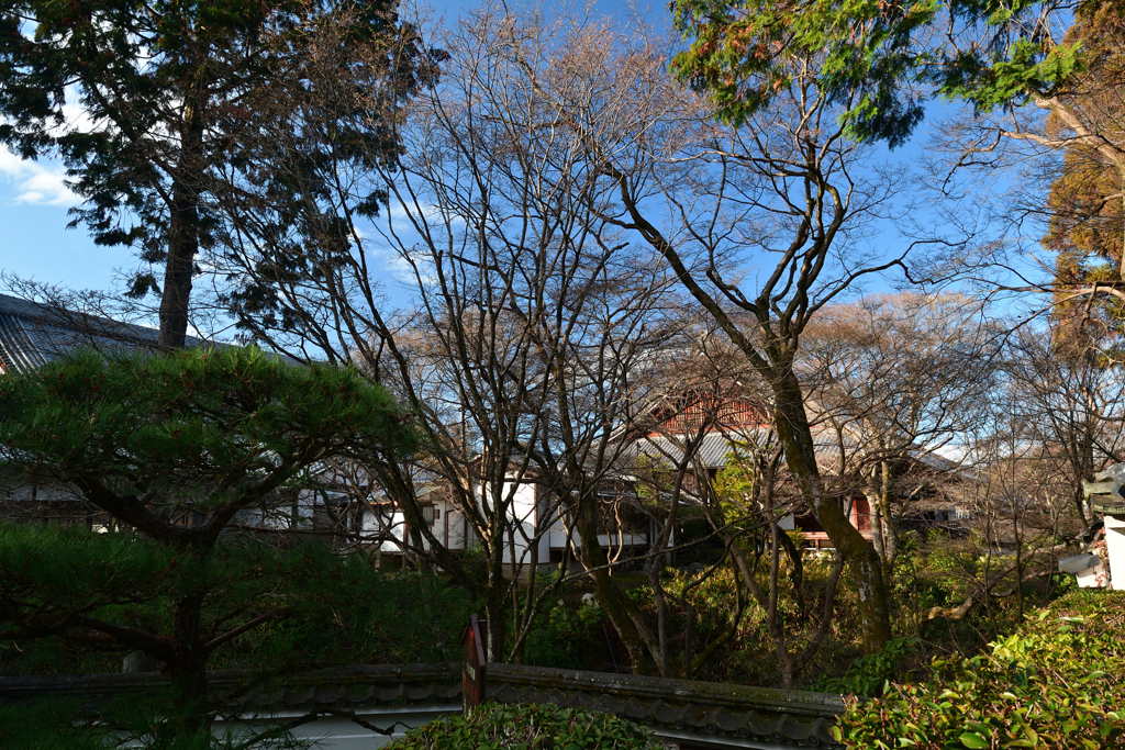 240108a東福寺09