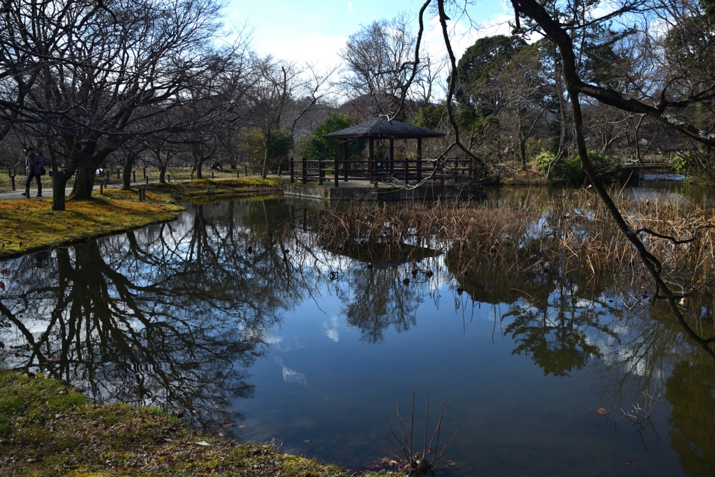 180211植物園60+