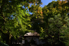 191102d安楽寺54
