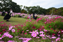 201018馬見丘陵公園02