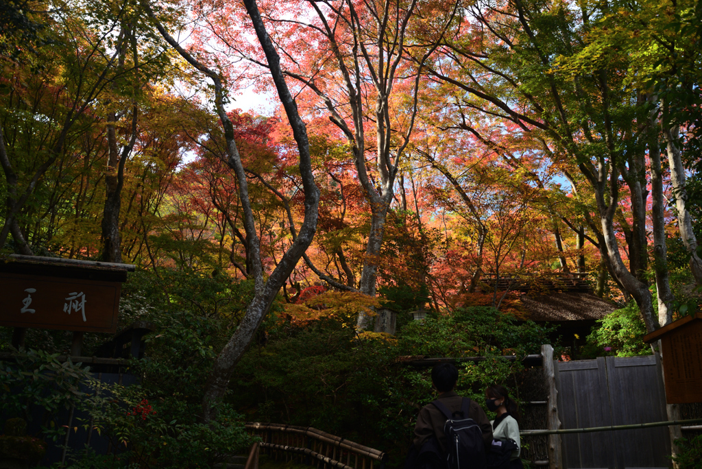 211119b祇王寺19