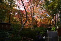 211119b祇王寺19