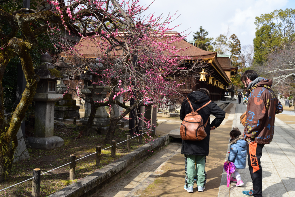 190214c北野天満宮16