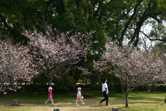 250325a京都御苑14