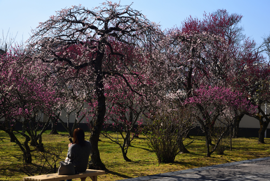 190226b大和文華館20