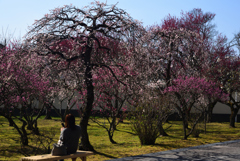 190226b大和文華館20