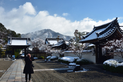 200209a妙満寺40 200209a妙満寺40