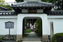 190721a天龍寺11