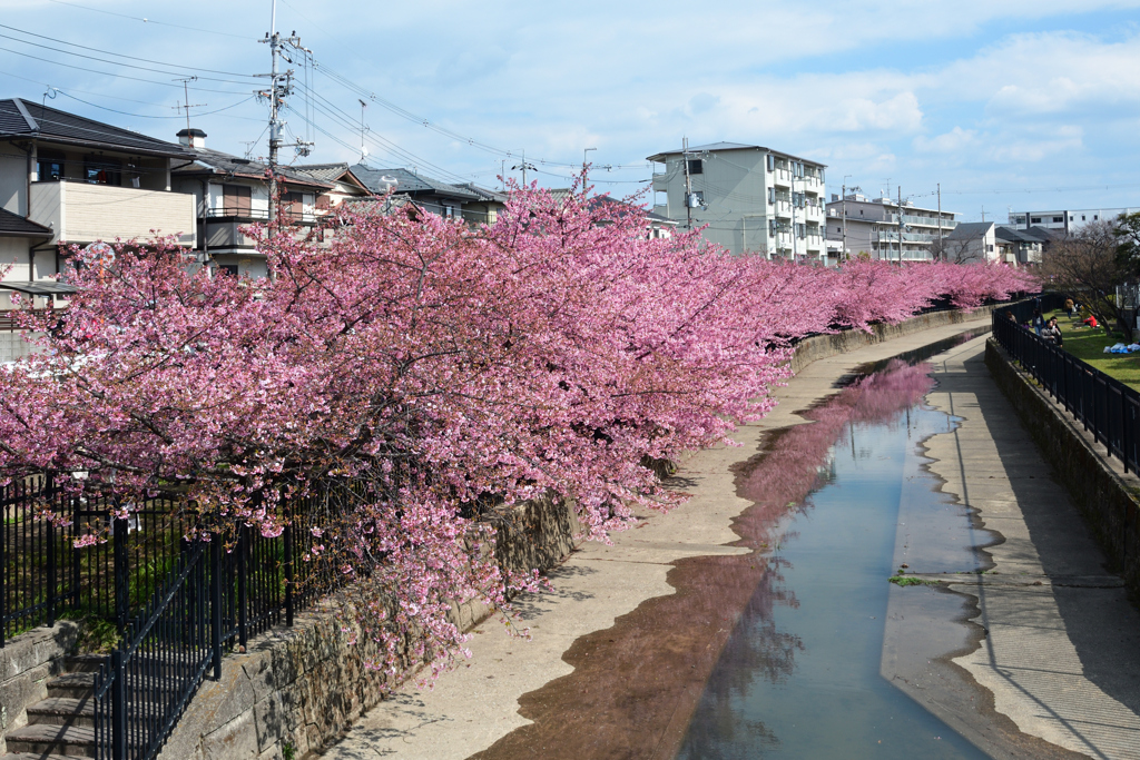 250320b淀水路01