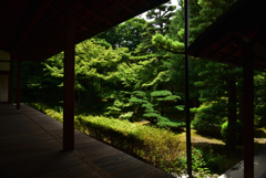 190707a建仁寺30西来院