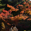 241130b宮島33