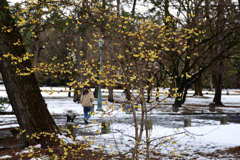 220121a京都御苑08