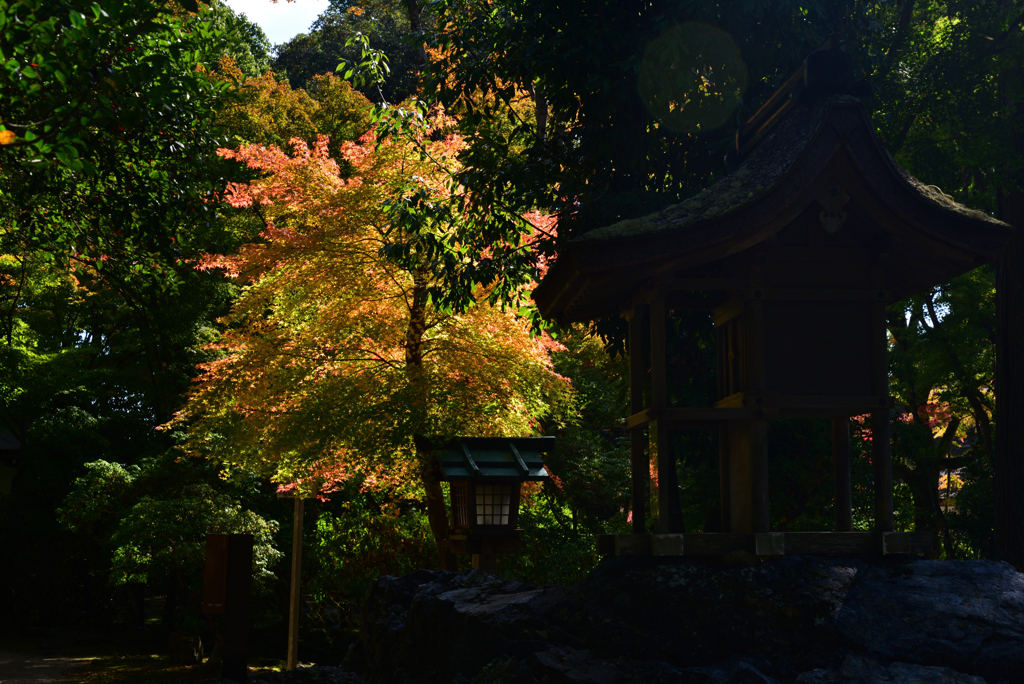 221108a上賀茂神社08