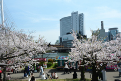 250408b造幣局03
