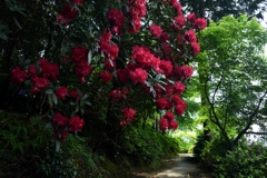 180501三室戸寺49+