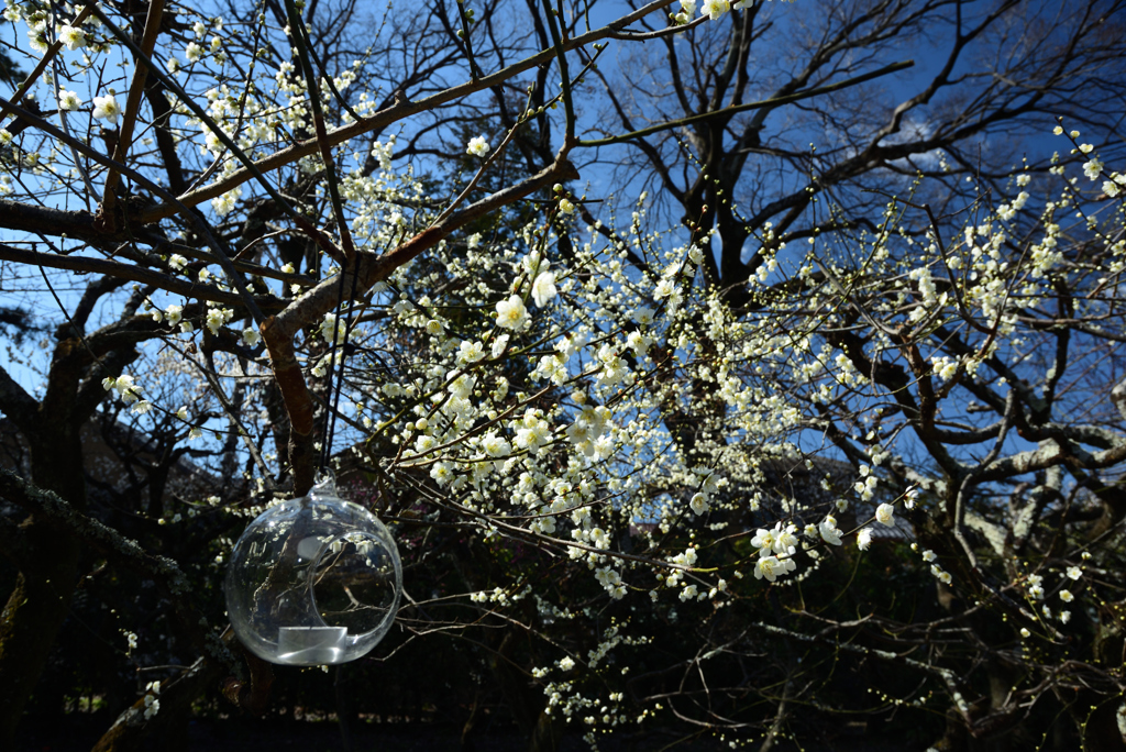 190223a北野天満宮31