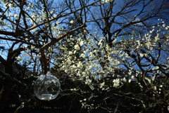 190223a北野天満宮31