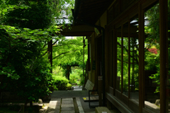 250606妙心寺退蔵院35