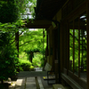 250606妙心寺退蔵院35