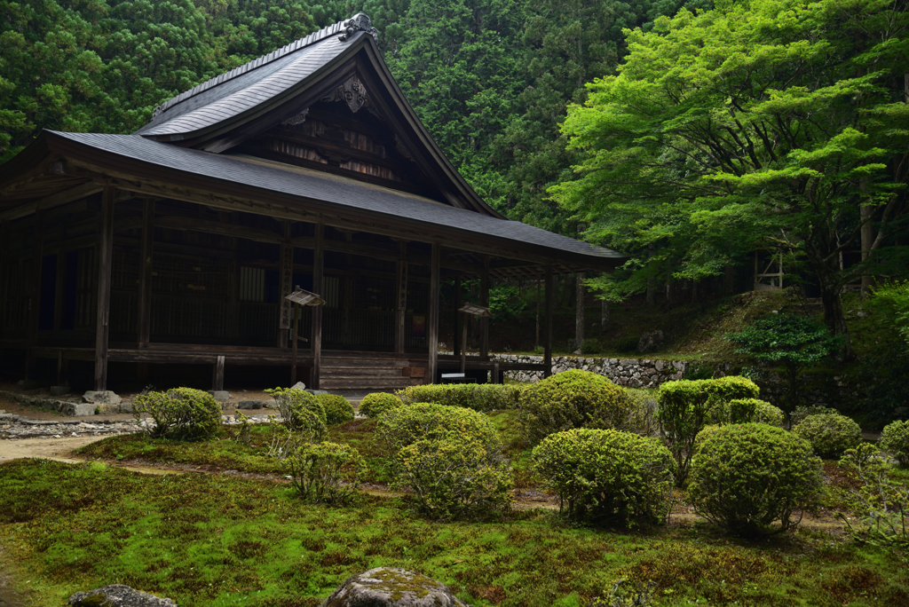 190626b大原来迎院05