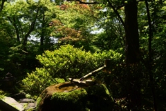 180505妙心寺11