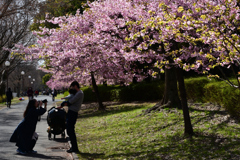 240302鶴見緑地16