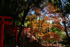 231213a上賀茂神社19