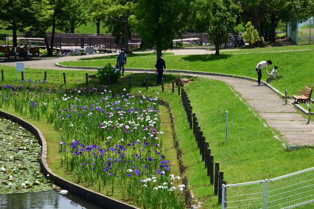 210529a白鷺公園59