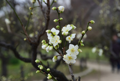 200125大阪城29 200125大阪城29