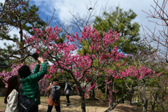 230226万博公園48