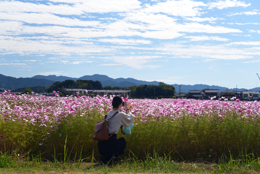 221021a藤原宮跡60