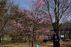 230311京都植物園36