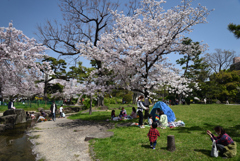 210401c住吉公園07