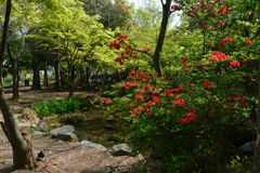 250418c梅小路公園16