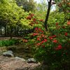 250418c梅小路公園16